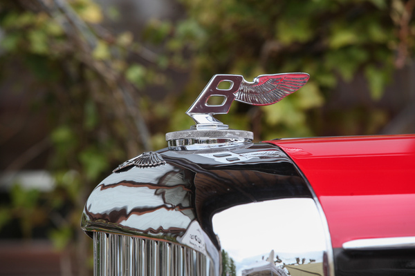 Geflügeltes Bentley-B - Albisgütli Classics April 2022