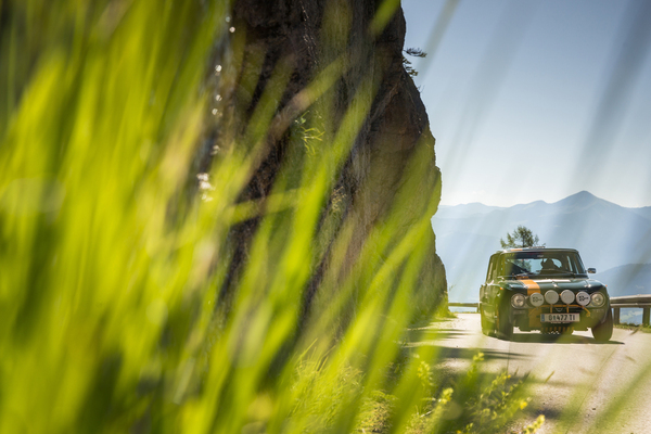 Gegen die „Alfistisisters“ ist kaum Kraut gewachsen, ...