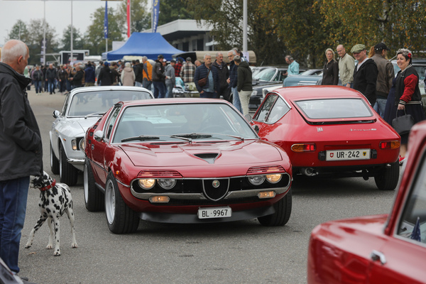 Gegenverkehr - Alfa Romeo Montreal sucht eine Parklücke - FNA Jahrestreffen 2025