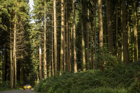 Ginetta G4 (1968) - 5. Gedenkfahrt zum Michaelskreuzrennen 2017