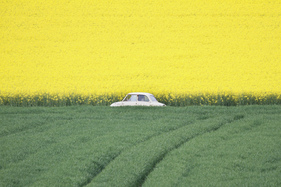 Goggomobil T 250 (1955) - 12. Internationales Microcar Treffen Wohlen 2022