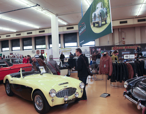 Goodtimer widmete seinen Stand den Austin-Healey-Modellen - Oldtimermesse St. Gallen 2015