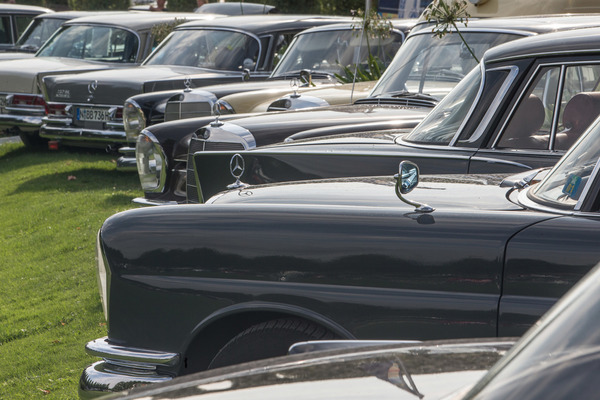 Grosse Heckflossen-Zusammenstellen (Mercedes-Benz) - Classic-Gala Schwetzingen 2019