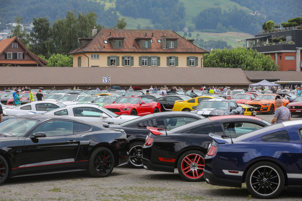 Gut, wenn man eine auffällige Lackierung hat. Marke und Modell würden im Zweifelsall nicht ausreichen, um sein Auto wiederzufinden - 8. Mustang & Shelby Meeting 2024