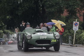 HWM Cadillac (1953) - an der Mille Miglia 2016
