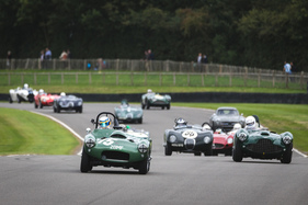 Bild HWM Cadillac (1954) - im Rennen um die Freddie March Memorial Trophy - Goodwood Revival 2018
