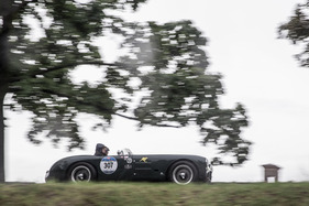 HWM Jaguar S 3400 CC (1954) - an der Mille Miglia 2016