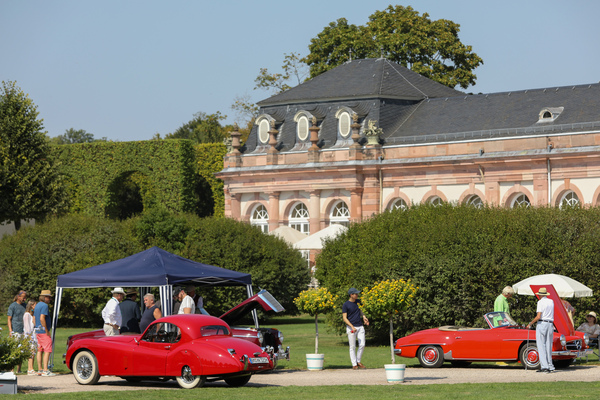 Hauptsache Rot - Jaguar XK 120 FHC und Mercedes-Benz 190 SL - 20. ASC Classic-Gala Schwetzingen 2024