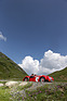 Bild: Healey Silverstone (1950) an der Ennstal-Classic 2013