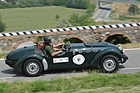 Bild: Healey Silverstone E99 (1950) - am Bergrennen Vernasca Silver Flag 2014
