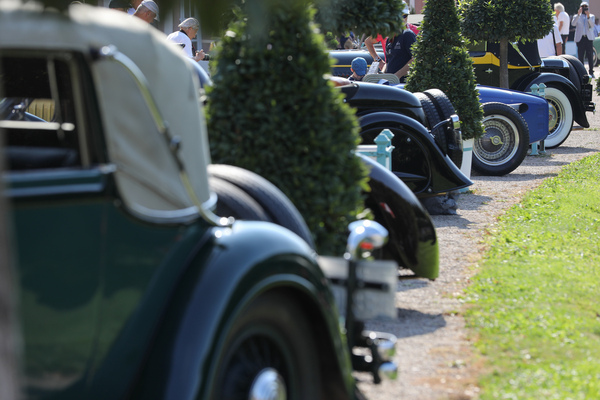 Heckansichten in Reih und Glied - 20. ASC Classic-Gala Schwetzingen 2024