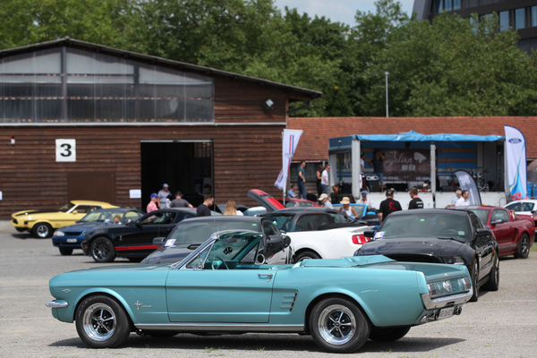 Hellblauer Convertible zwischen späten Mustang-Modellen - Mustang & Shelby Meeting 2017 in Zug