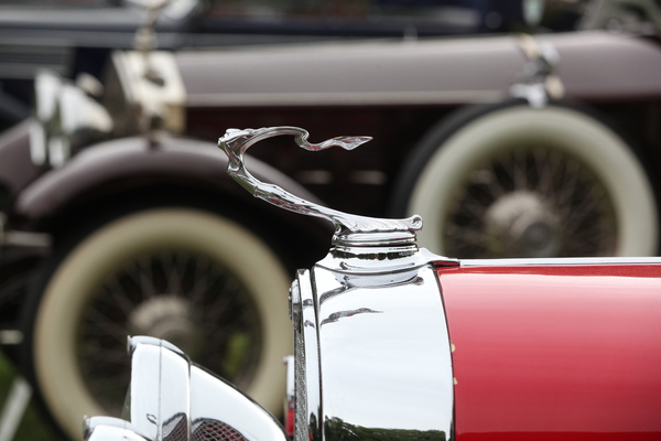 Herrliche Kühlerfigur auf diesem Vorkriegs-Cadillac - Concours d'Elégance Suisse "spéciale" 2021 in Coppet