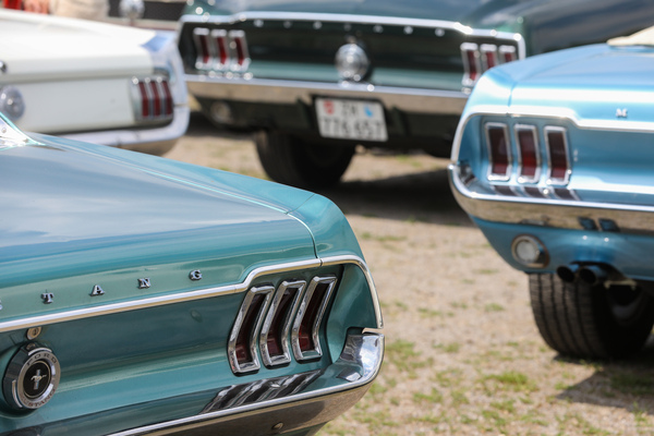 Hier noch einmal deutlicher zu sehen: Beim Convertible (vorn) verläuft die Zierleiste innerhalb der Rückleuchten nach unten, beim Fastback (hinten) nach oben - 8. Mustang & Shelby Meeting 2024