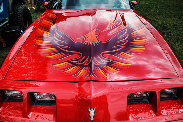 Highlight für Trash-Jünger: das „kreischende Huhn“ (Screaming Chicken) des Pontiac Firebird aus den Spätsiebzigern.