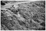 Historic Grand Prix Zandvoort 2015 - Impressionen (© Urs Arnold, 2015) Historic Grand Prix Zandvoort 2015 - Impressionen (© Urs Arnold, 2015)