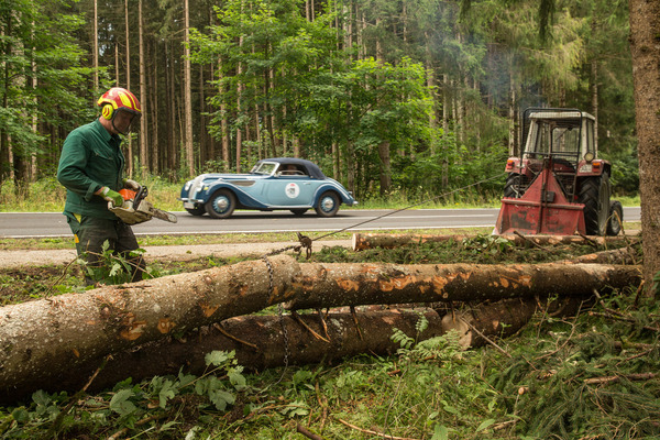 Bild: Holzfäller und Forstarbeiter am Werk - 31. Ennstal-Classic 2023