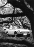 Honda S 600 (1966) - macht wohl glücklich