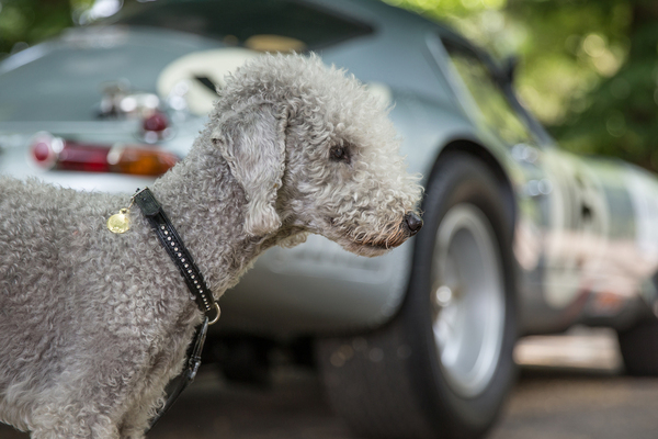 Ich glaub, jetzt ist sie tatsächlich …