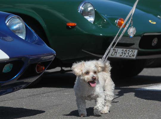 Image: The attractive Lotus sports cars leave him cold - British Car Meeting (BCM) Mollis 2022