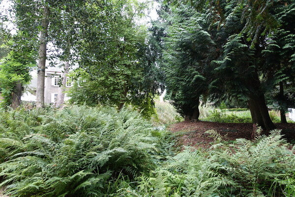 Im schönen Park – Classic Days 2025