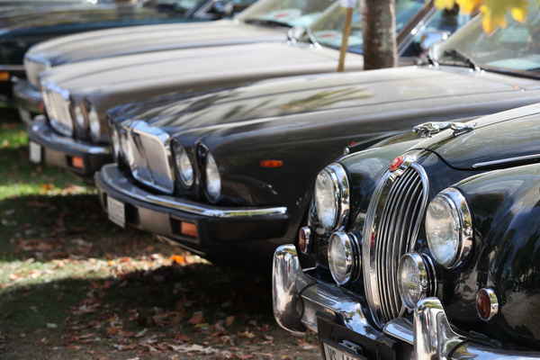 Immer sprungbereit - eine Jaguar-Limousine der Sechzigerjahre vor moderneren Nachfolgern - Swiss Classic British Car Meeting Morges 2017