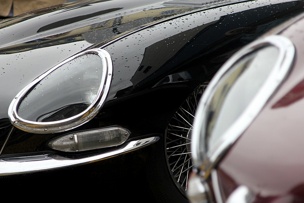 Impressionen OiO 2011 - Jaguar E Types in Reihe