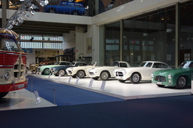 Impressionen - Pegaso-Sonderschau in der Autoworld Brüssel (2018/2019)