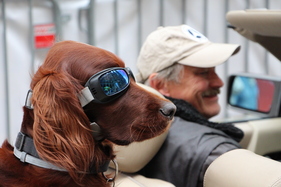 Impressionen der Vienna Classic Days vom 22. - 24. August 2014