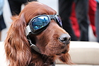 Bild: Impressionen der Vienna Classic Days vom 22. - 24. August 2014