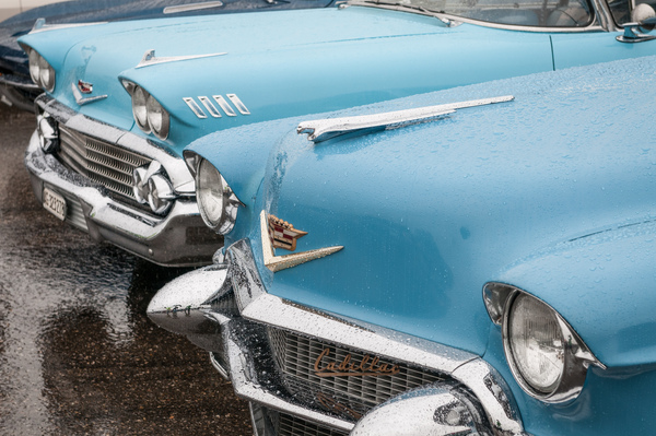 Impressions from American Live 2015