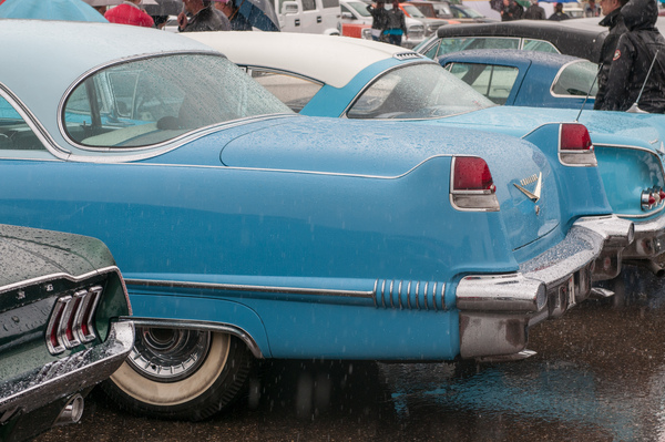 Impressions from American Live 2015