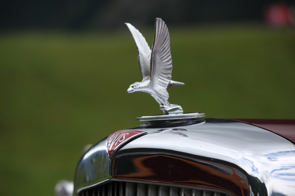 Image: Impressions of the British Car Meeting 2013 in Mollis - Bird of prey as a radiator mascot on the Alvis