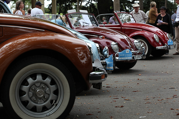 Impressions of the RAID Prologue 2012 - VW Beetles among themselves