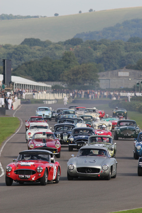 Impressions of the Fordwater Trophy race at the Goodwood Revival 2013 - the Austin-Healey has taken the lead