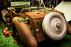 Image: Impressions from InterClassics & TopMobiel 2014 - with real moss infestation