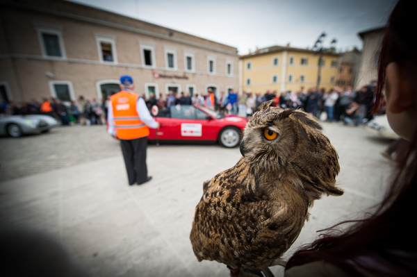 Impressionen von der Mille Miglia 2014 - Alles wird mit wachsamem Auge verfolgt
