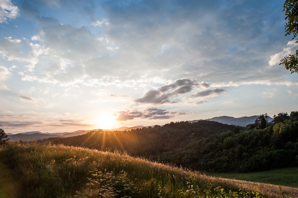 Impressionen von der Mille Miglia 2014 - Sonnenaufgang