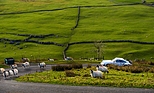 Bild: Isolierte und anspruchsvolle Strassen sind keine Seltenheit an der Le Jog Rally 2014