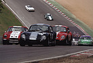 JWF Milano GT (1962) - zwei Milanos in England um 2006