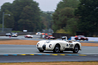 Image: Jaguar C-Type (1952) - Le Mans Classic 2025