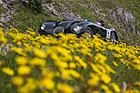 Jaguar C-Type (1952) - an der Ennstal-Classic 2016