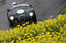Jaguar C-Type (19xx) - GP Mutschellen 2016 (© Daniel Reinhard, 2016) Jaguar C-Type (19xx) - GP Mutschellen 2016 (© Daniel Reinhard, 2016)