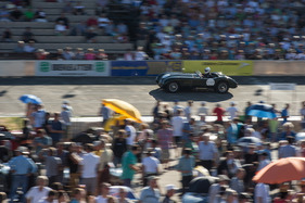 Jaguar C-Type R (1963) - Indianapolis Oerlikon 2015