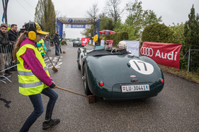 Bild Jaguar C-Type Suffolk (1953) - GP Mutschellen 2016