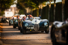 Jaguar C-Type von Finburgh und Newall - Freddie March Memorial Trophy - Goodwood Revival 2015