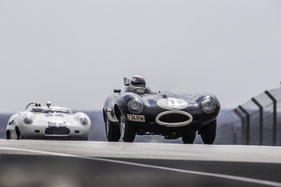 Jaguar D-Type (1955) - Le Mans Classic 2014 - Plateau 3