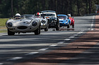 Jaguar D-Type (1955) - Plateau 2 - Le Mans Classic 2016