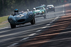 Jaguar D-Type (1955) - Plateau 2 - Le Mans Classic 2016