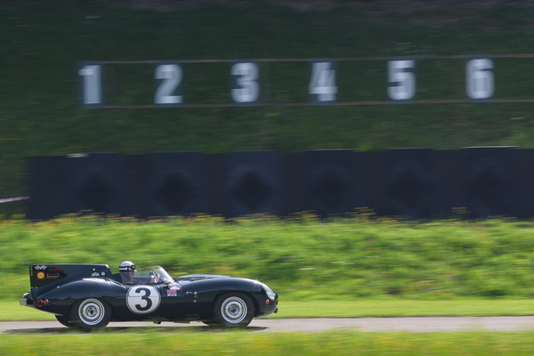 Jaguar D-Type (1955) - Startfeld 5 "Vorkriegs- und historische Sportwagen" - Oldtimer GP Brugger Schachen 2024